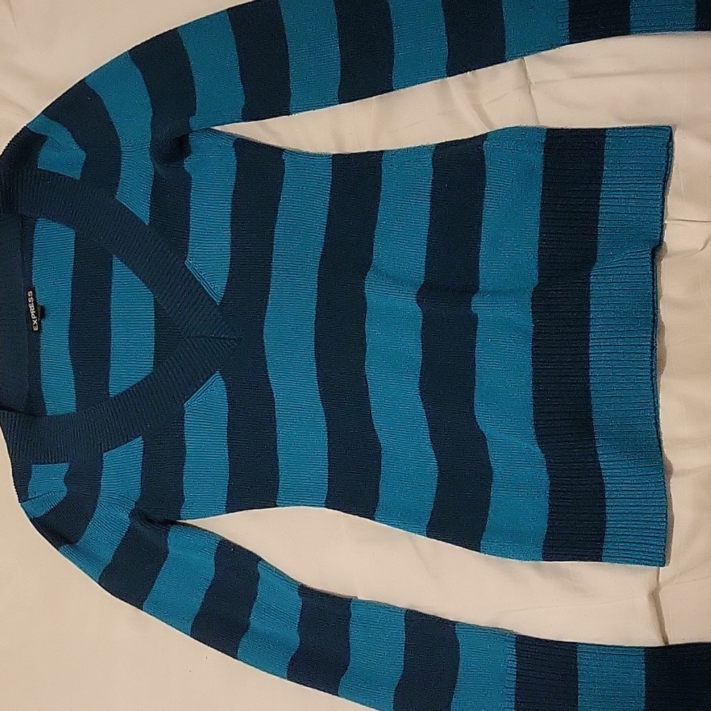 Express Blue Sweater